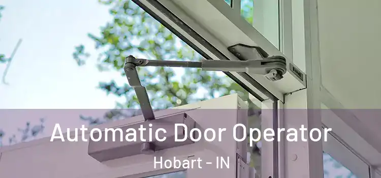 Automatic Door Operator Hobart - IN