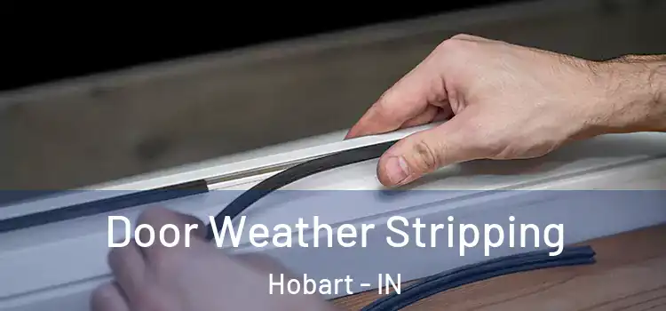  Door Weather Stripping Hobart - IN