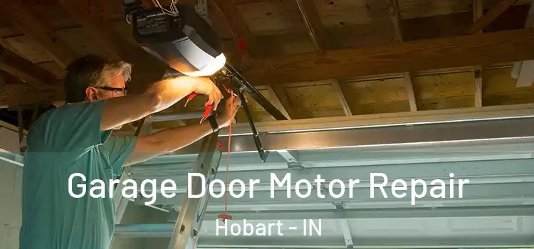  Garage Door Motor Repair Hobart - IN