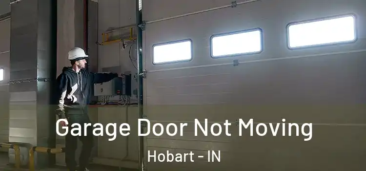  Garage Door Not Moving Hobart - IN