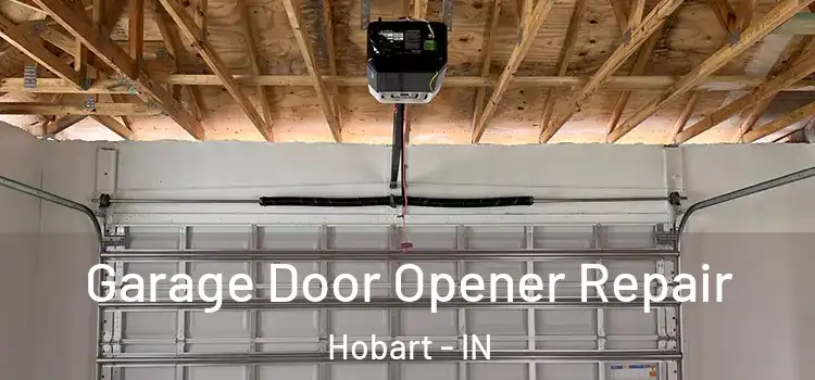  Garage Door Opener Repair Hobart - IN