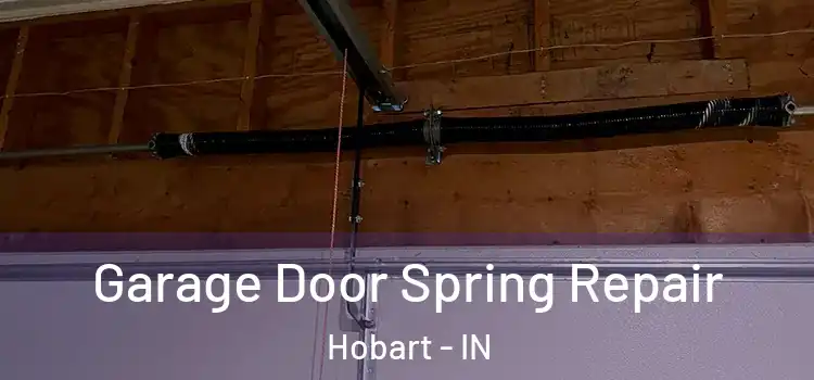  Garage Door Spring Repair Hobart - IN