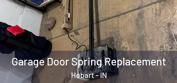  Garage Door Spring Replacement Hobart - IN