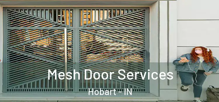 Mesh Door Services Hobart - IN