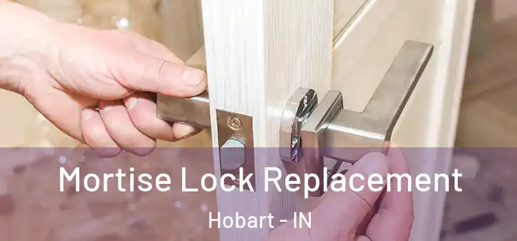  Mortise Lock Replacement Hobart - IN